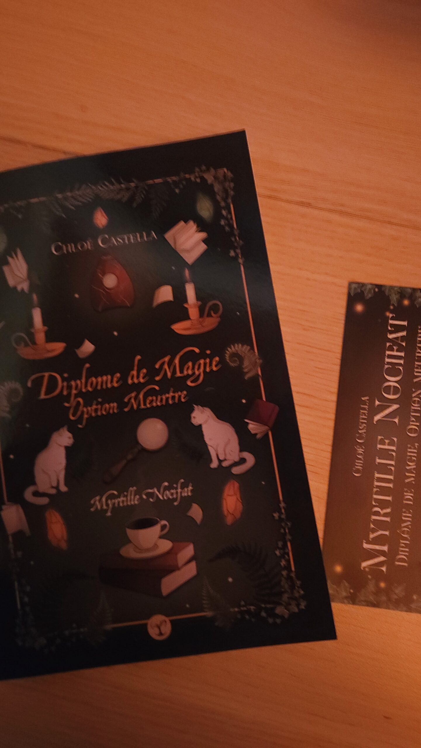 BROCHÉ – Myrtille Nocifat – Diplôme de magie, option meurtre (version couverture par Caroline Blineau)