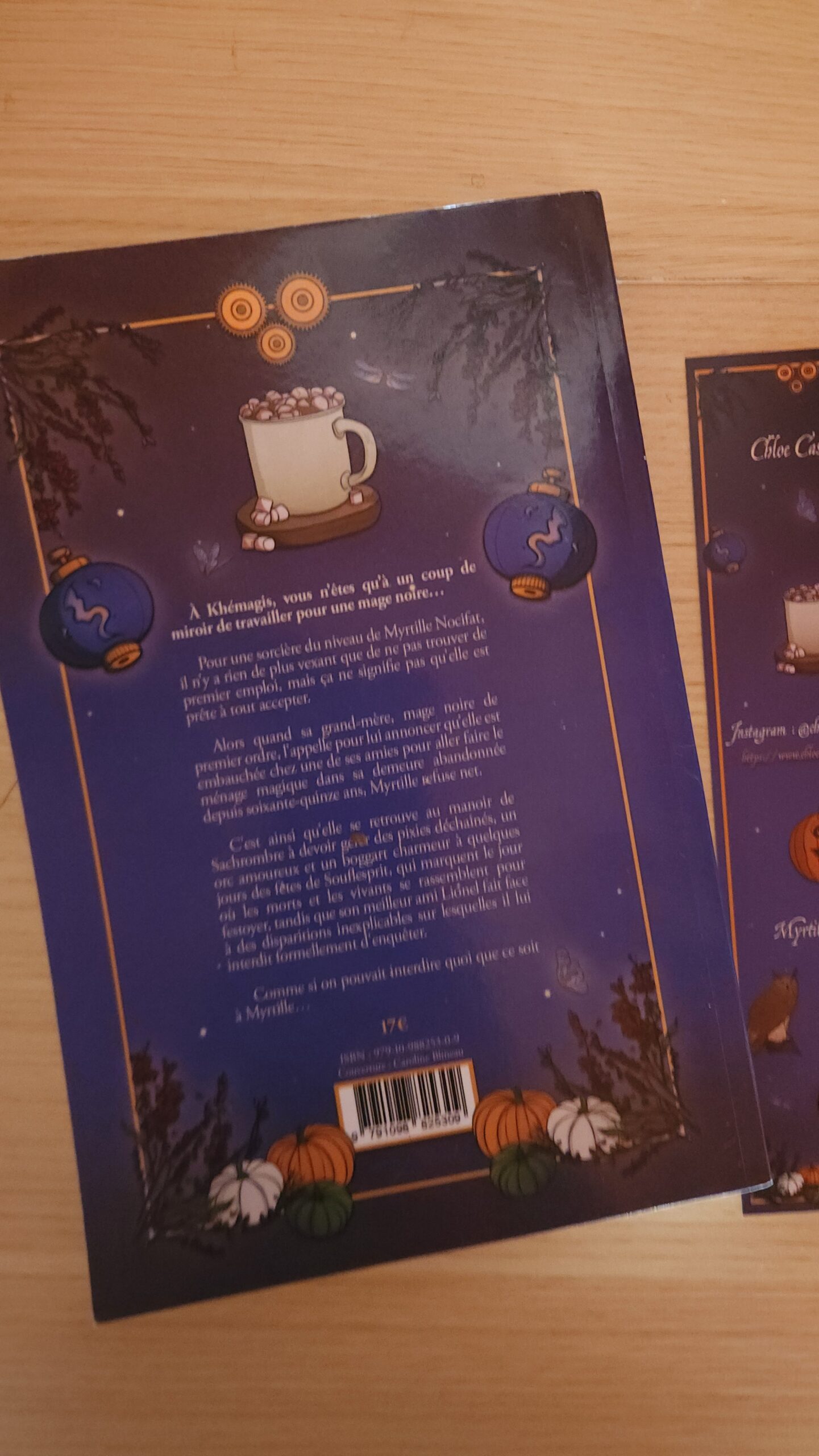 BROCHÉ - Myrtille Nocifat - Féerie et magie noire sous la pluie – Image 2
